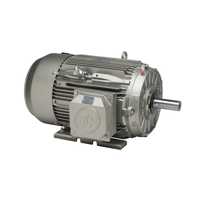 Двигатель Tyco TPE30R18CIC286TC
