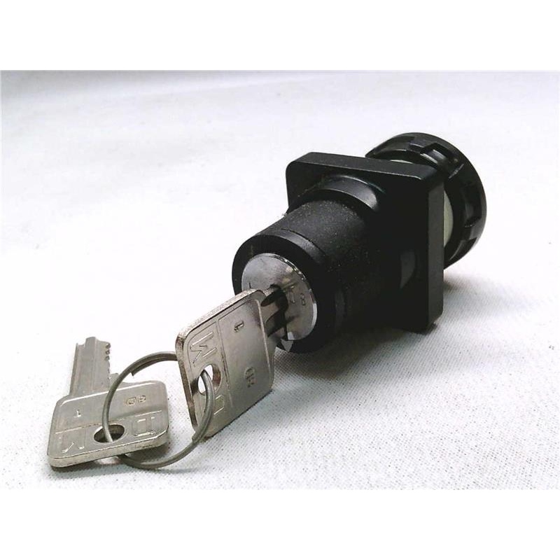 Поворотные переключатели Schneider Electric 9001-D1L80