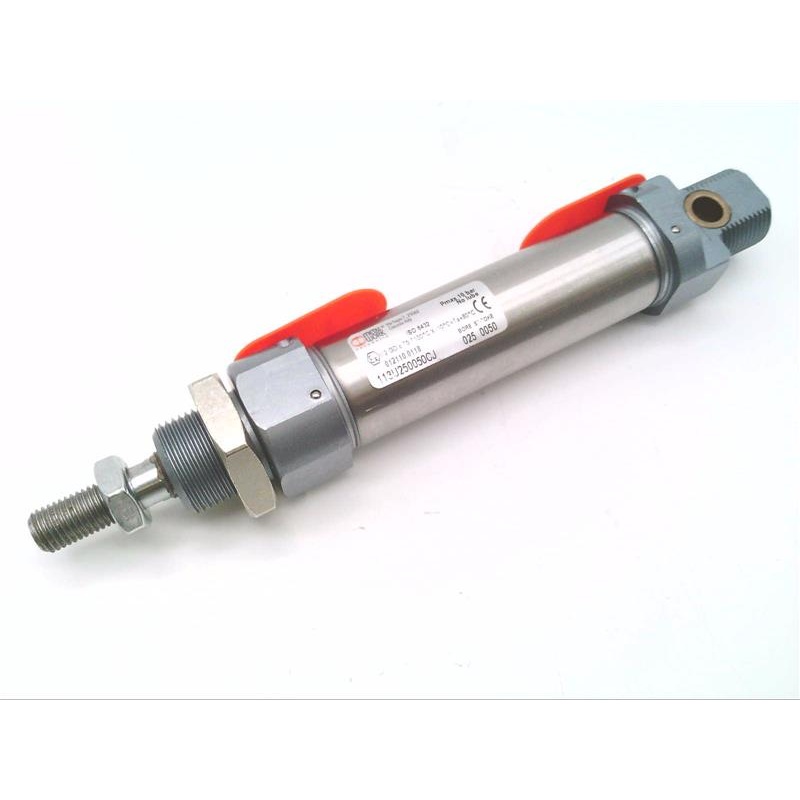 Пневматический цилиндр Metal Work Pneumatic 113U250050CJ