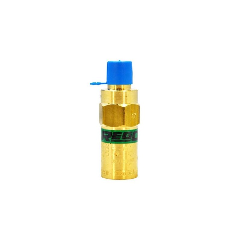 Предохранительный клапан Rego PRV9432F-125