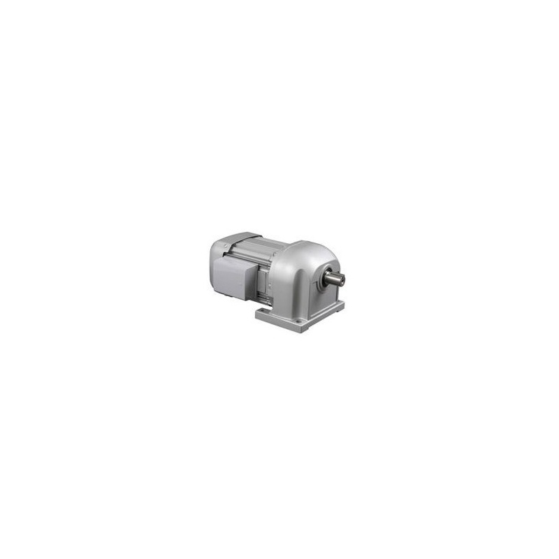Мотор с зубчатой передачей GM-S0.4KW4P1/120