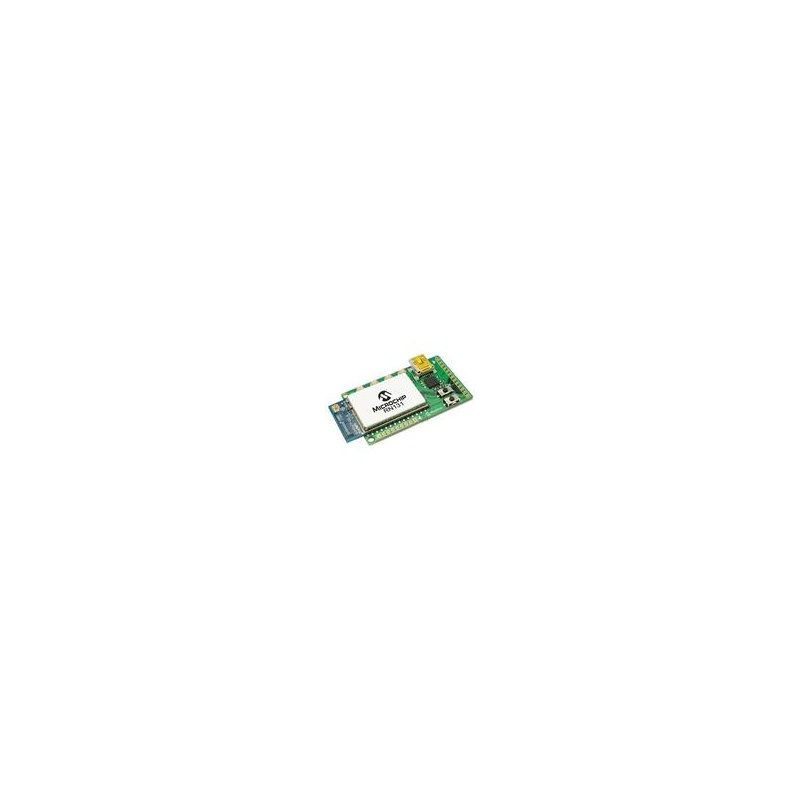 Модули расширения ПЛК Microchip Technology Inc RN131C/RM