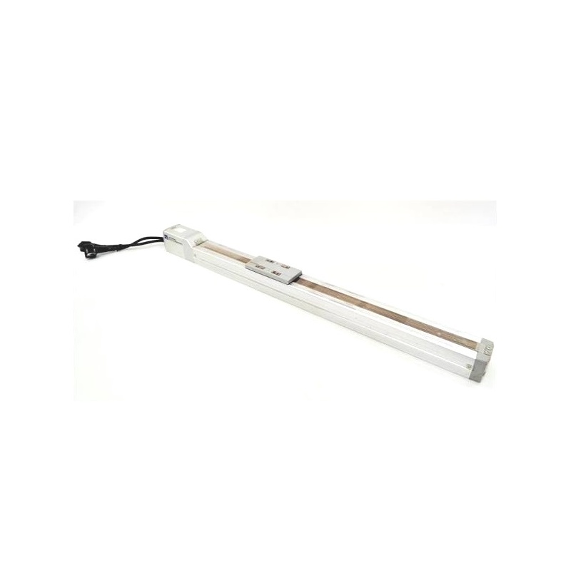 SLIDER RCP2-SA5-I-PM-12-300-P1-S