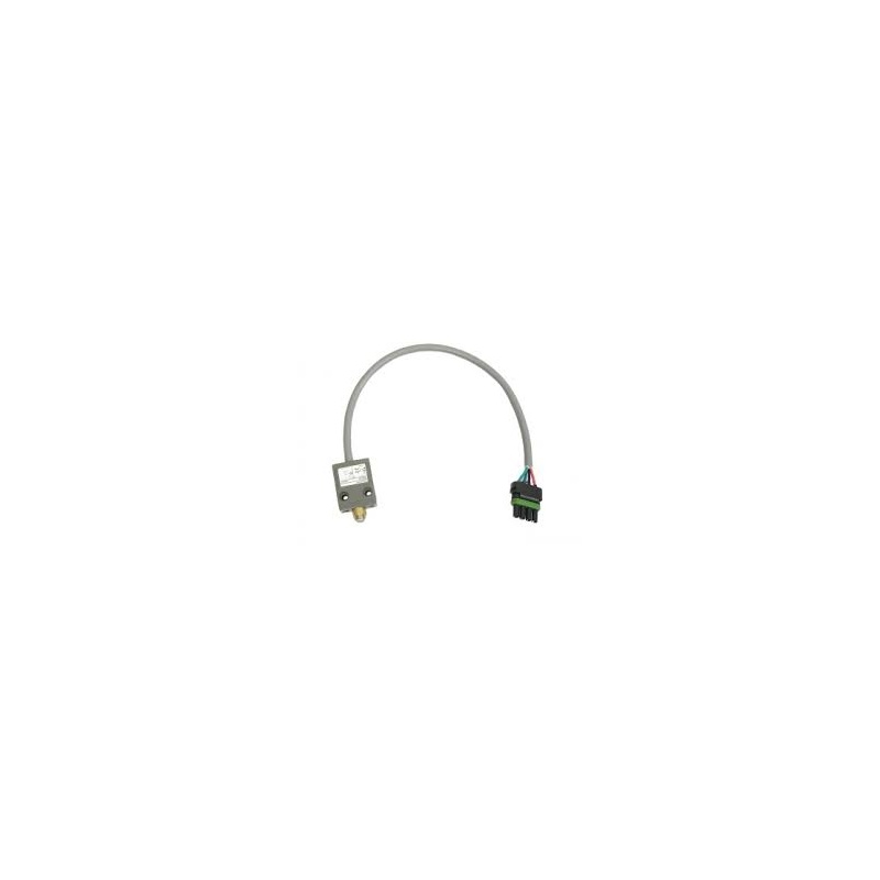 Предельный выключатель Radwell LS118211