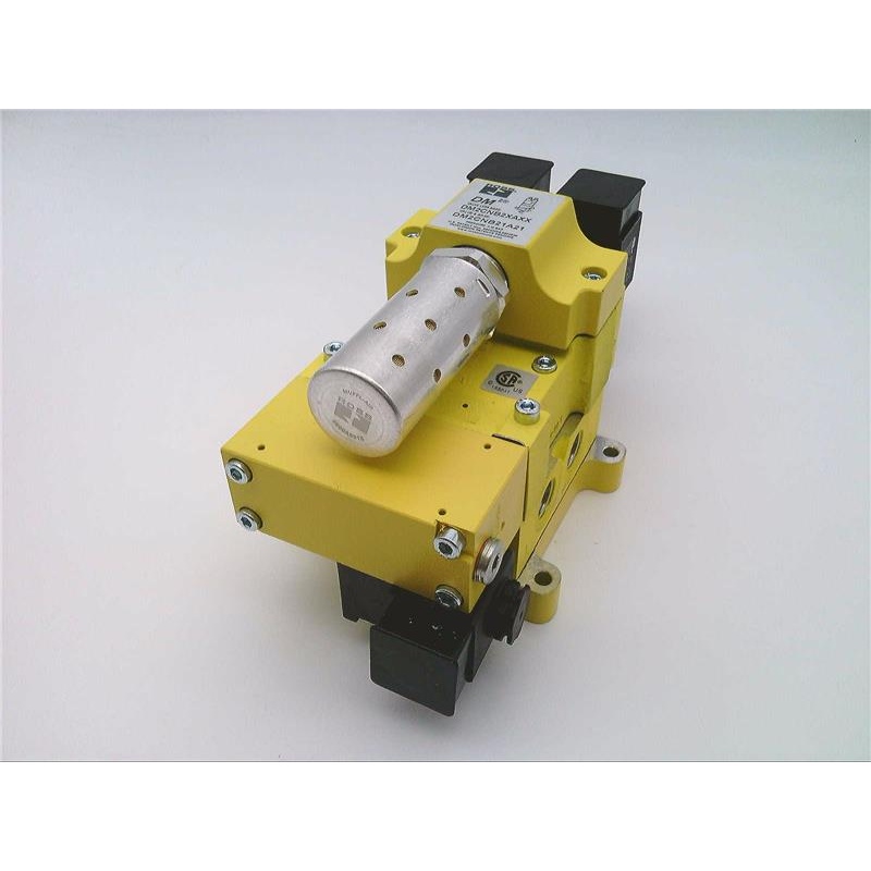 Мониторы и индикаторы давления Ross Controls DM2CNB21A21