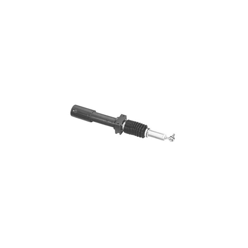 Актуатор Erhardt & Leimer AG-2591
