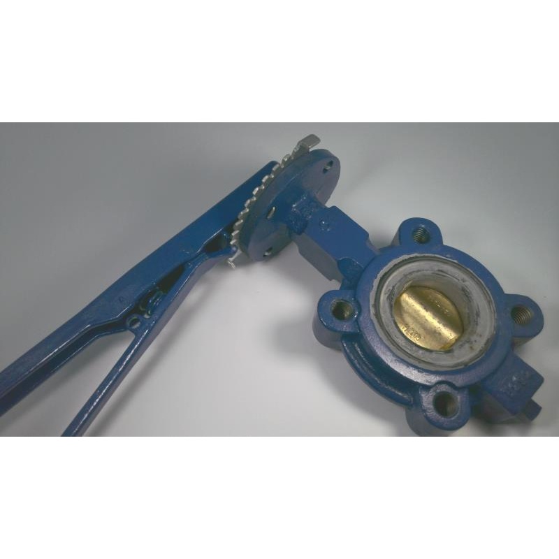 Поворотный клапан Emerson 22L0080-10A1SGN1AEK-H100000