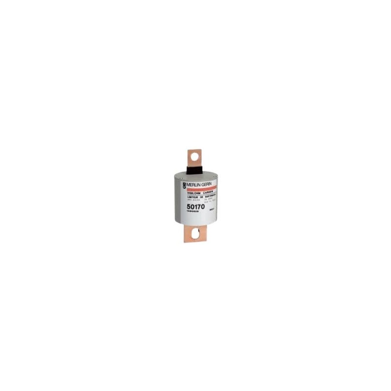 Ограничитель перенапряжения CARDEW Schneider Electric 50171