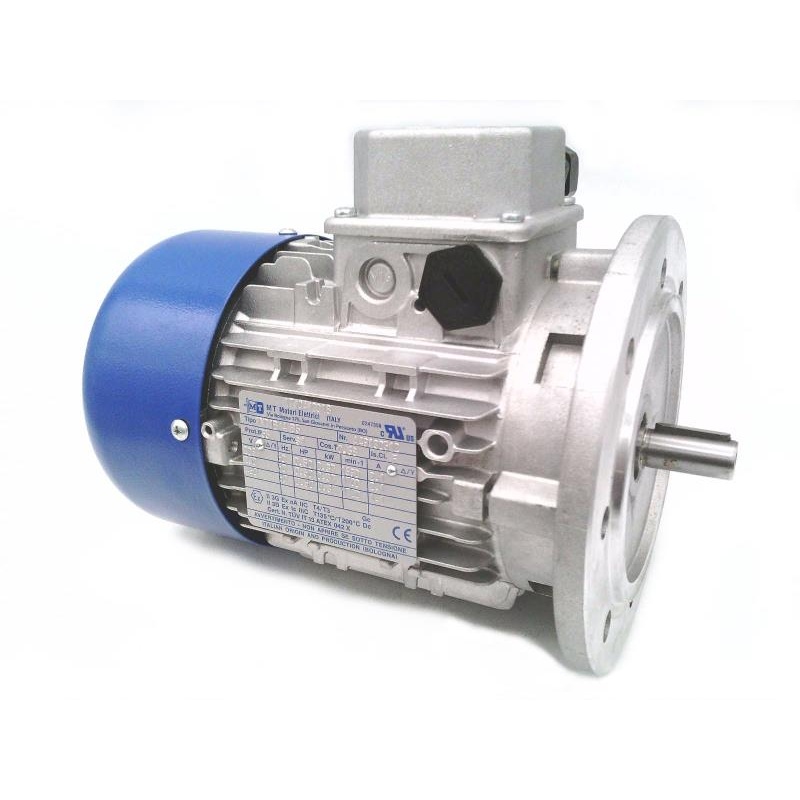 Двигатель Motori Elettrici TF80A/4-14
