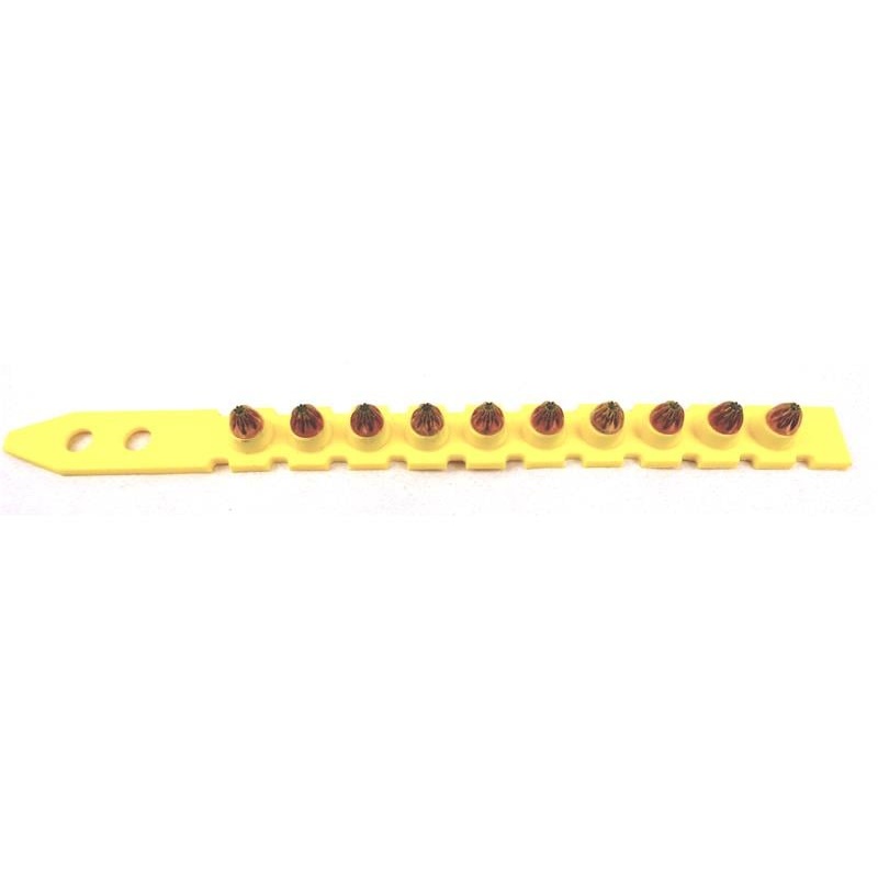 50352