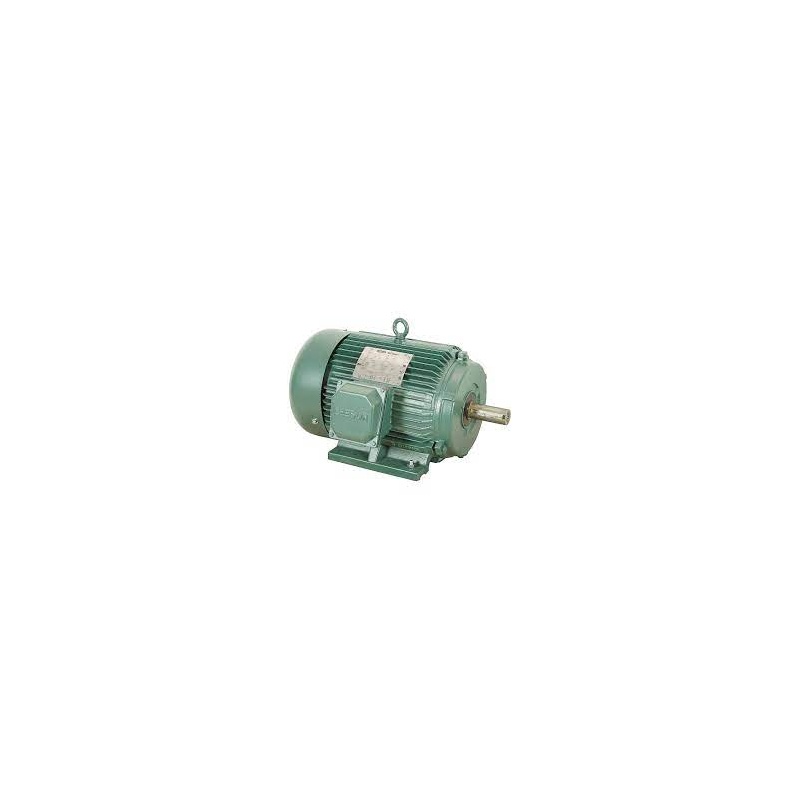Двигатель Reliance Controls P18F312