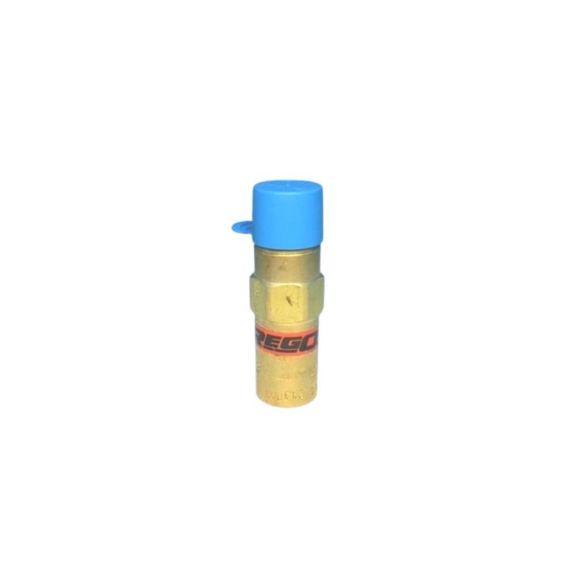 Криогенный перепускной клапан Rego PRV9434T350