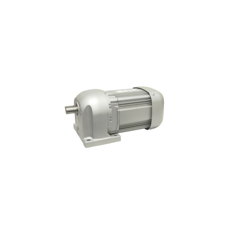 Зубчатый двигатель GM-S0.2KW4P1/50