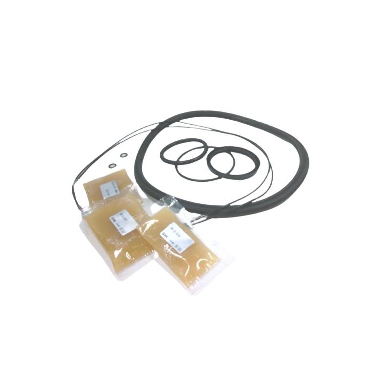 Комплект уплотнений SMC CDS1-200A-PS