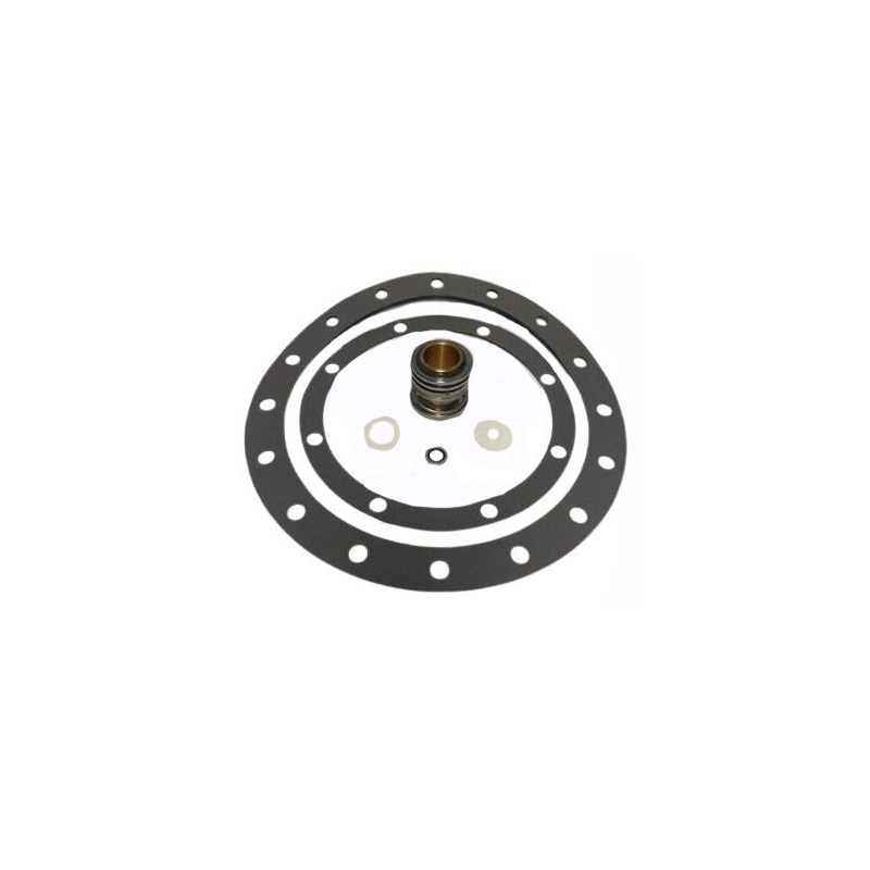 Комплект для восстановления насоса Thrush 7307-0005