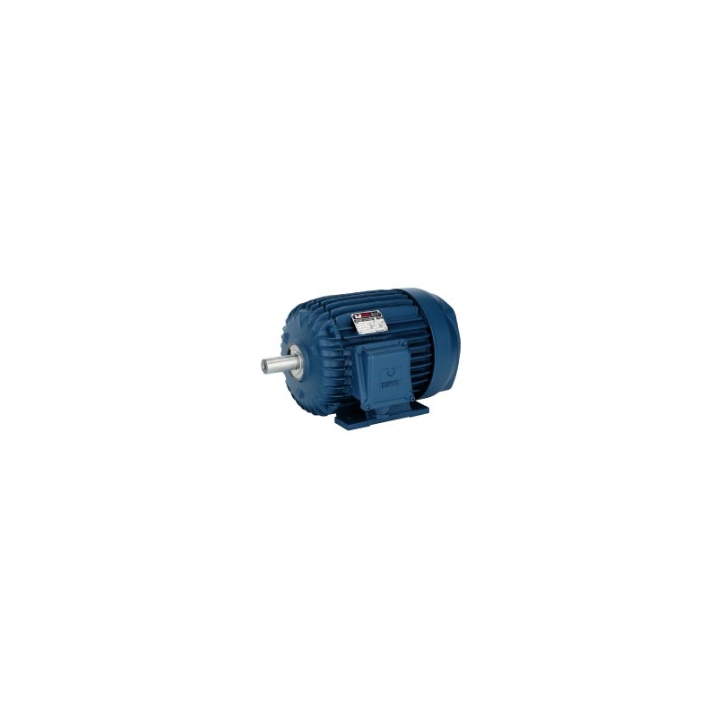 Асинхронный двигатель 5BS-132-MB-2