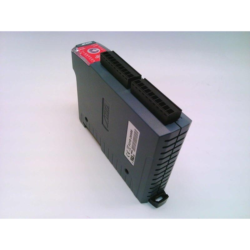 Входной модуль Trio Motion Technology P318-06986