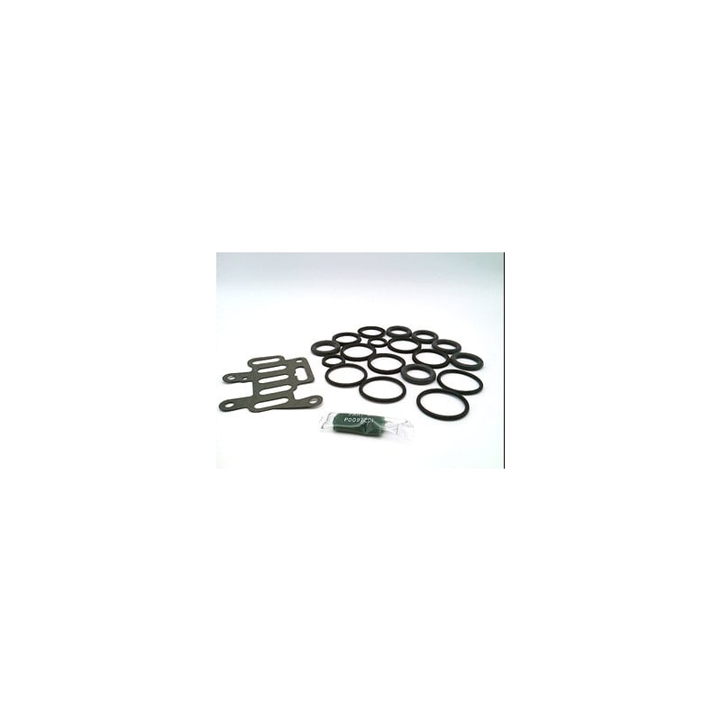 Ремонтный комплект для SPEED KING Parker K352153