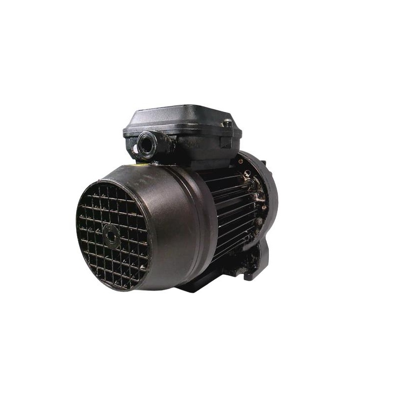 Водяные насосы Speck Pump V 600
