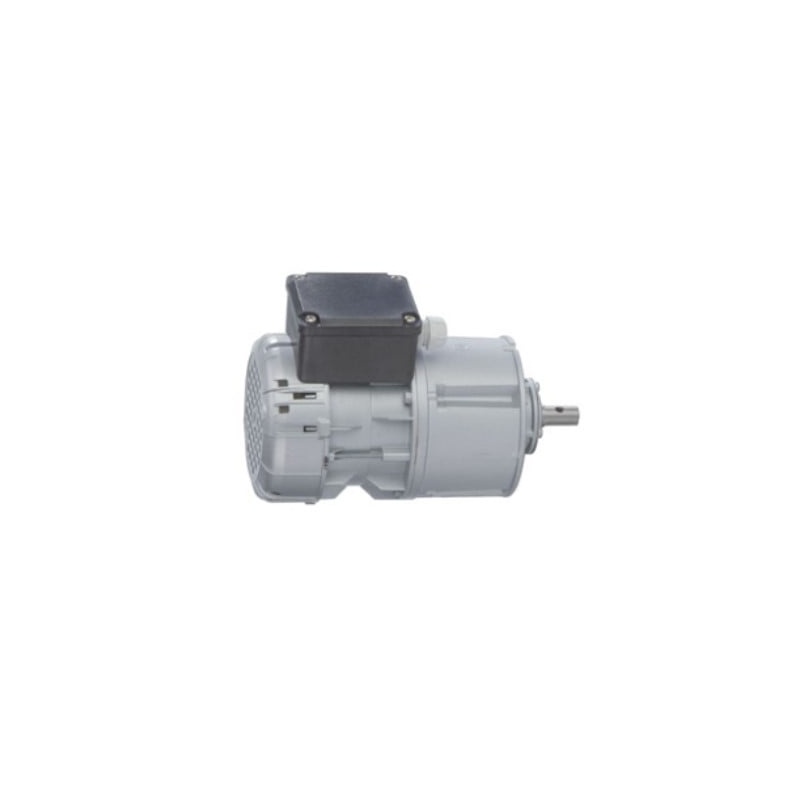 Двигатель Sirem R245H2B