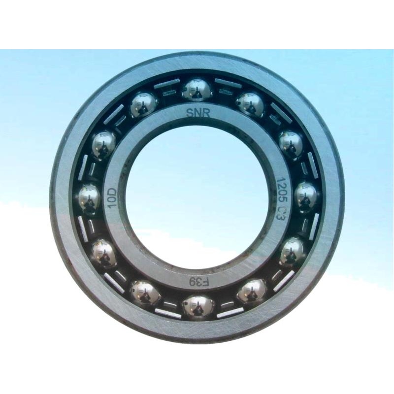 Подшипники SKF 16005