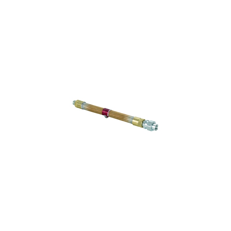 ECFUF-318