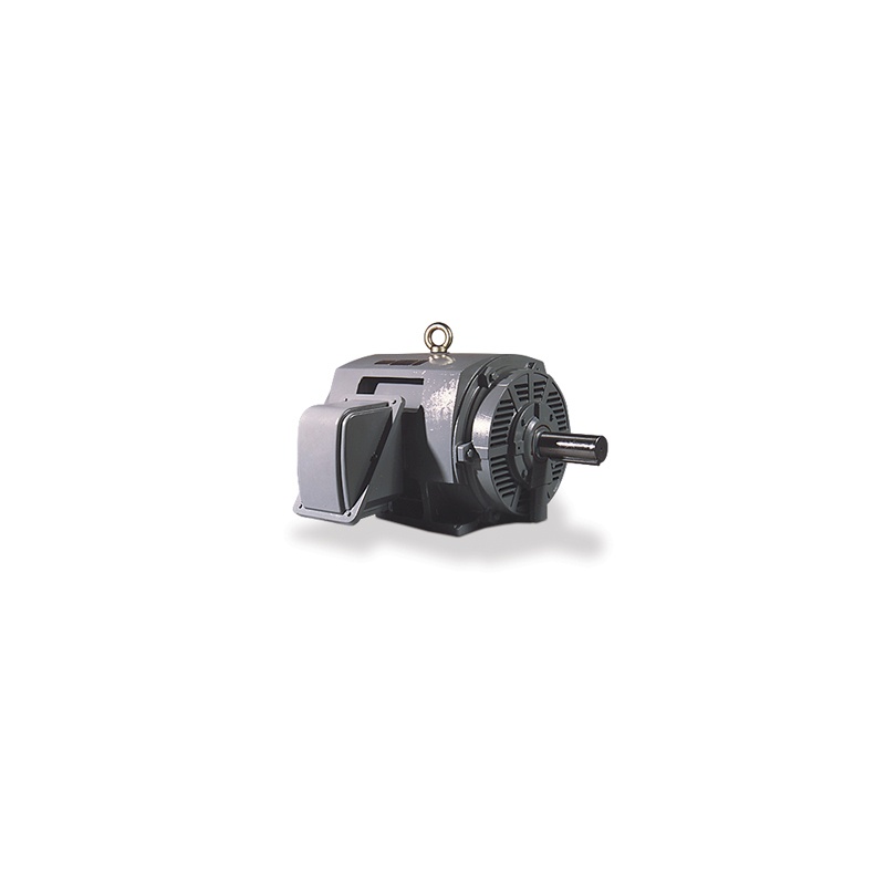 Двигатель Teco-Westinghouse DHP0404