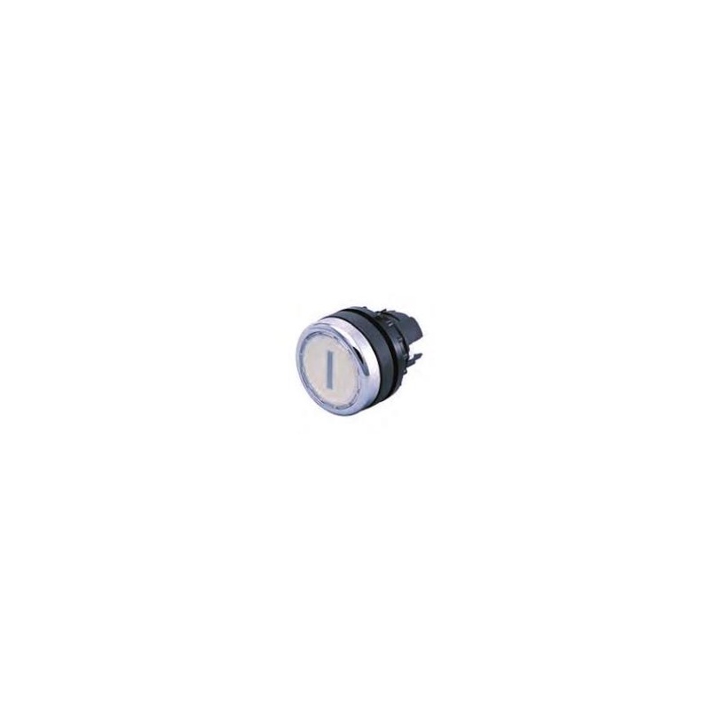 Кнопка A22-RLT-WS11