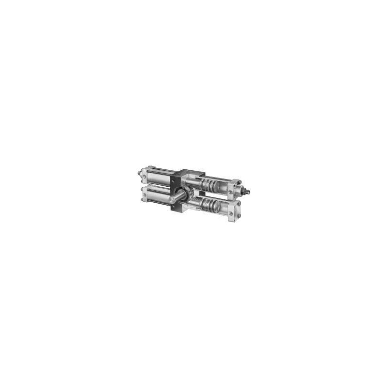 Поворотный привод R21-H-6-200-P-A2-M