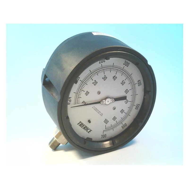 Индикатор процесса 450-LFSS-4502-LD110