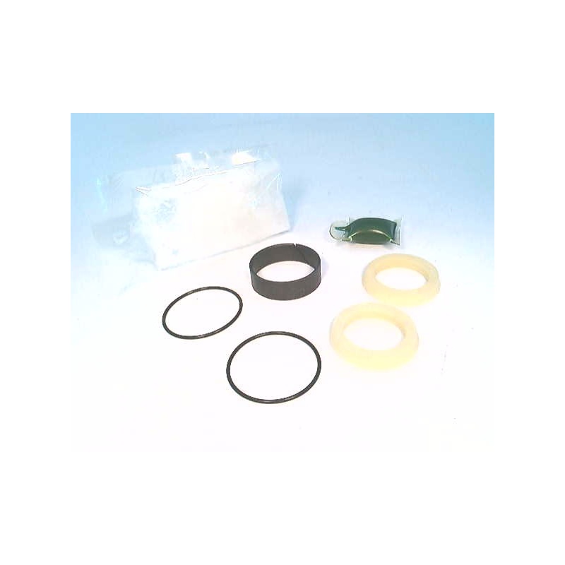 Комплект уплотнительного поршня Parker PK040MP001