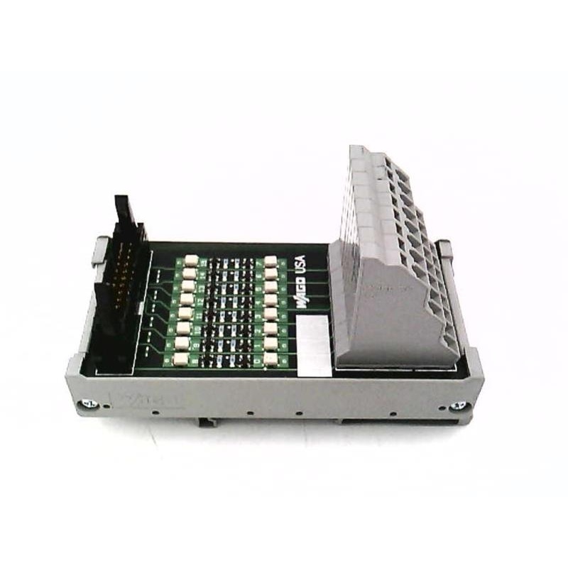 51015068